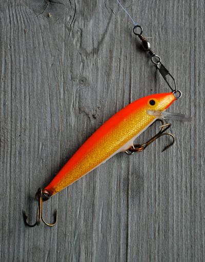 Rapala Original Floater lure